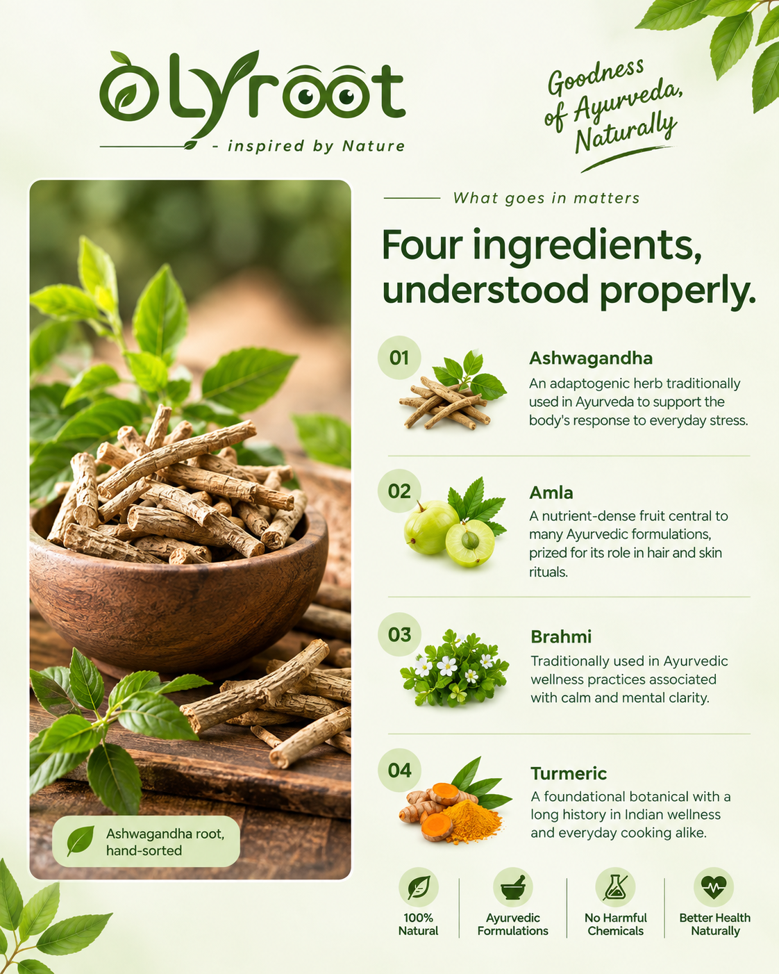 Ashwagandha root, hand-sorted